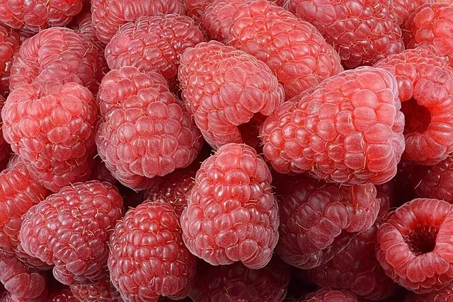 Giant Red Raspberry Seeds, Garden Fruit Plant Seeds, Juicy And Delicious, UK