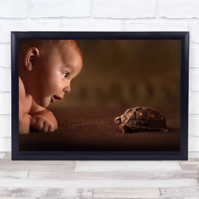 Baby Babies Animal Animals Turtle Wall Art Print