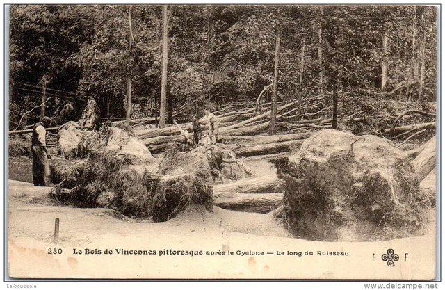94 VINCENNES - le bois apres le cyclone
