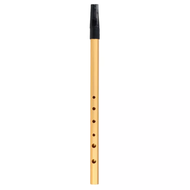 (Gold C Tune)Alloy Short Flute Flute Wind Musical Instruments With Learning