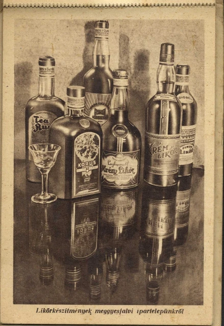 Rumänien Ungarn 1940 GR.MURES ERDÉLYRÉSZI HANGYA SZÖVETKEZET Fantastisches ALBUM RR 2