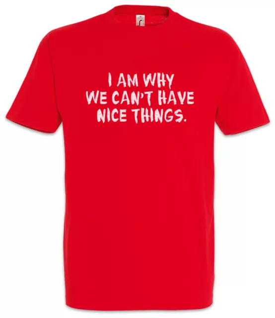 I Am Why We Can't Have Nice Things T-Shirt Kids Kid Boys Girls Family Fun Money