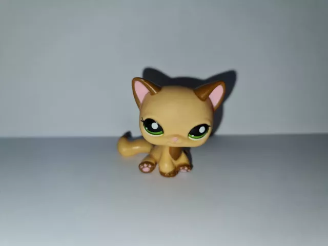 Sitting cat lps top