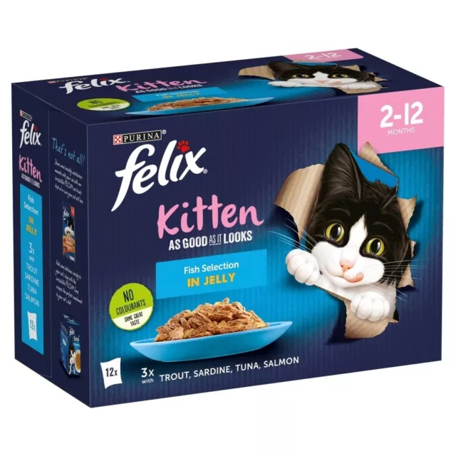 Felix Kitten As Good As It Looks Mixed Selection In Jelly (48 x 100g) For Cats