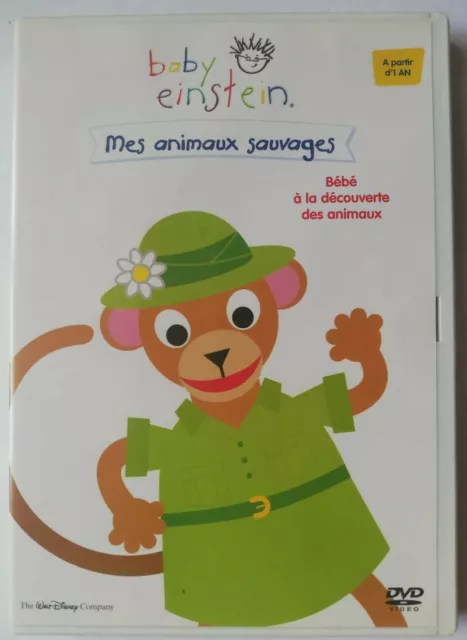 Baby Einstein : Mes animaux sauvages / DVD Walt Disney