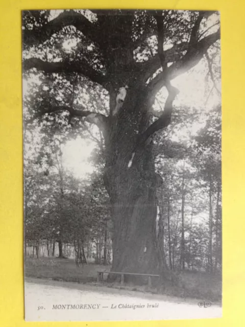 cpa FRANCE 95 - FORÊT de MONTMORENCY Val d'Oise Le CHATAIGNIER BRULÉ ARBRE TREE