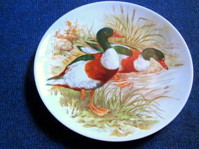 ASSIETTE DECORATION CANARD Duck Ente Nature Chasse Porcelaine LIMOGES ! EUR  17,96 - PicClick FR