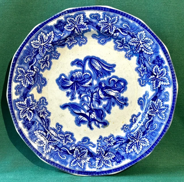Antique Flow Blue Ironstone Transfer Plate Lobelia Pattern G Phillips Longport