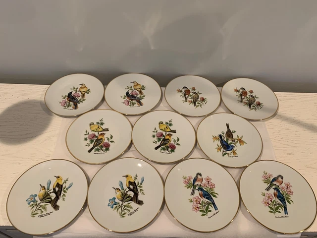 Bareuther Waldsassen Bavaria Germany Bird Floral Plates, Set Of 11