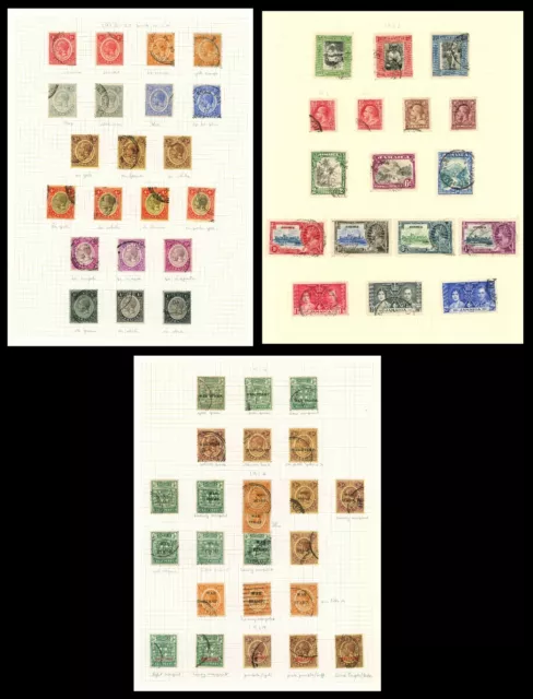 Jamaica Stamps 1916-1923 KGV Study on Pages with Colour & War Tax O/P Varieties
