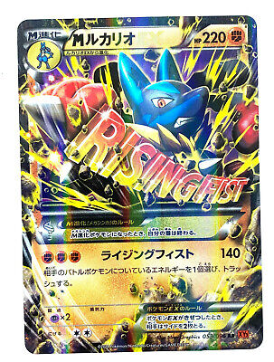 Pokemon Card XY Booster Wild Blaze Florges 053/080 R XY2 1st Japanese 