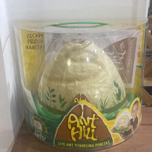 Insect Lore Ant Hill Live Ants Farm Tunneling Habitat New