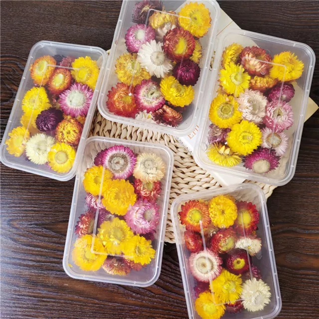 1pc Real Dried Flower Dry Plants For Aromatherapy Candle Epoxy Resin Pend`LN
