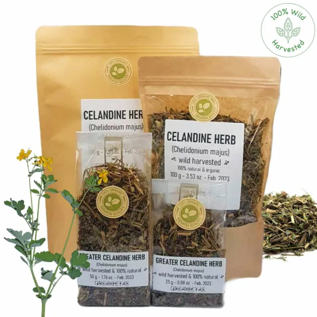 GREATER CELANDINE Herb Dried Organic Wild Harvested Chelidonium majus Herbal Tea