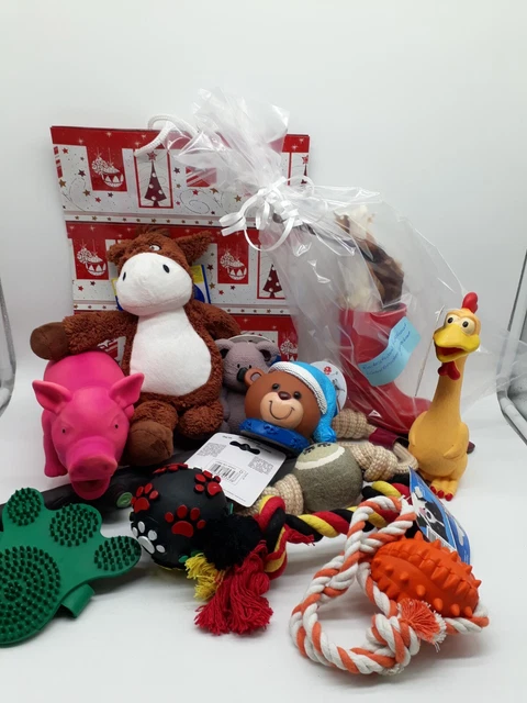 Hundespielzeug Set  10 Teile Hund, Spielzeugset +Kaussnack + Massagestriegel
