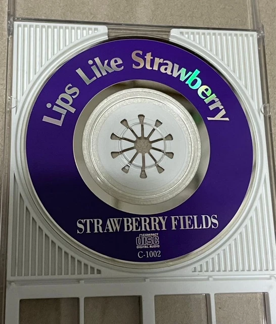 STRAWBERRY FIELDS 『LIPS Like Strawberry』 $415.27 - PicClick CA