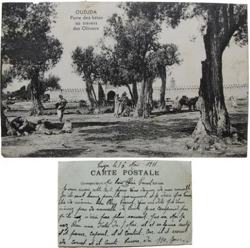 Oudjda Porte des bêtes au travers des oliviers cpa Maroc 1921
