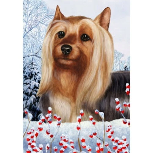Winter Garden Flag - Silky Terrier 151021