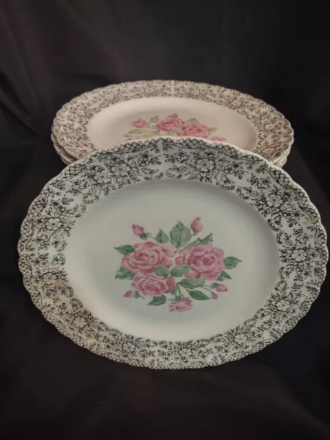 Set of 3 Lovely Vintage Sebring Pottery Co. China Bouquet Dinner Plates 9 ¾”