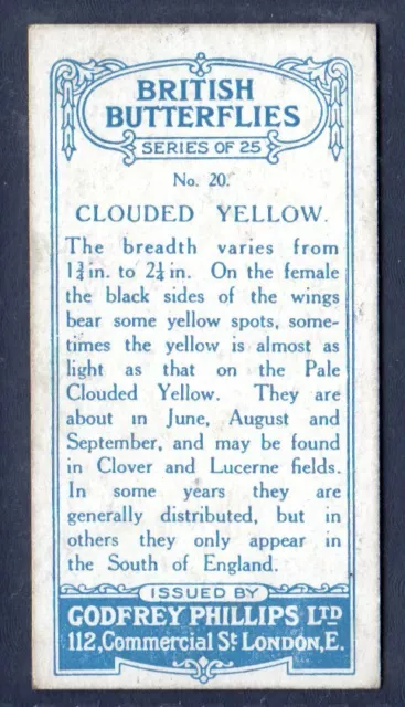 CLOUDED YELLOW - Original 1920's BRITISH BUTTERFLIES Cigarette Card 2