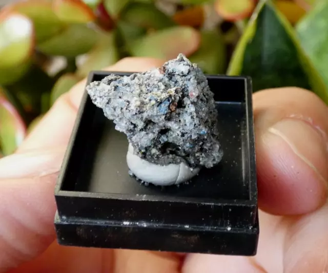 Titanite Apatite Hauyne de Mending 2x1.5x1cm Minéraux rare pierre micromount