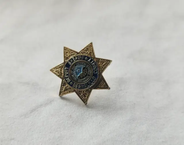 Pins Badges Medals State of New Mexico Bernalillo County Deputy Sheriff Star