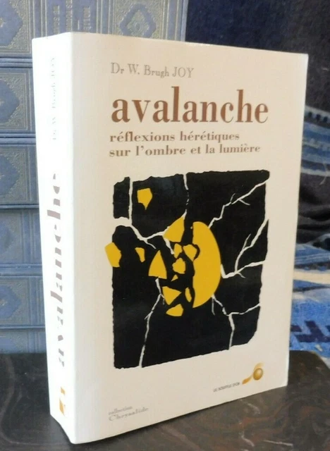 Rare - L'ombre Et La Lumière - Armée Secrète Isère. Chambarand - Pierre Devaux 1966