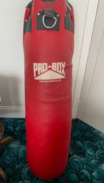 Pro Box Heavy Punch Bag