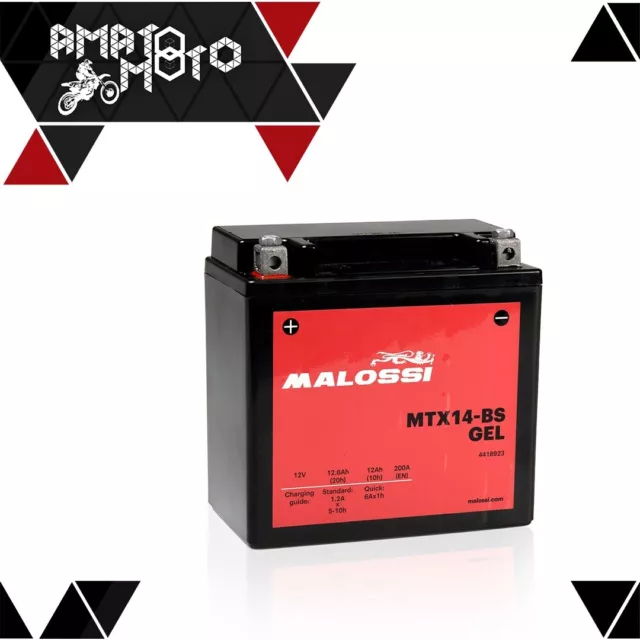 Batterie Malossi Scellée À Gel MTX14BS Pour Kymco Xciting 500 4T LC