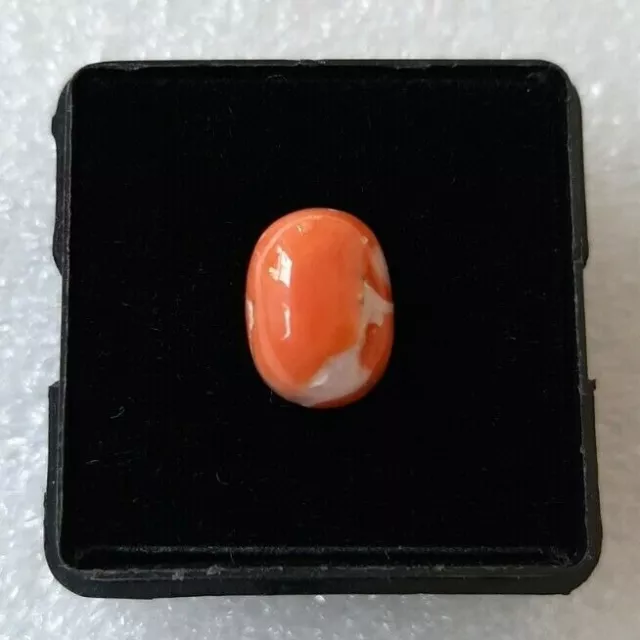 Antik Koralle Cabochon 100% Natürlich Japanische Ovale Form Lose Edelstein