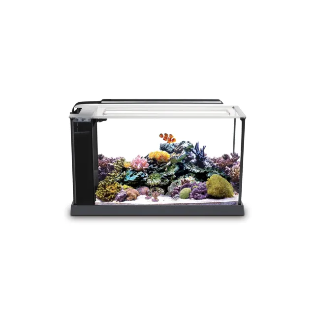 Fluval Sea Evo V Saltwater Fish Tank Aquarium Kit, Black, 5 gal, 10528A1