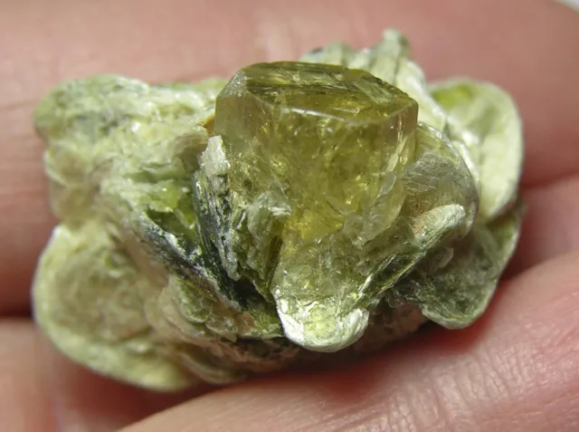 38.70ct Pakistan Terminated Heliodor Crystal in Mica Cluster Specimen 7.75g 26m