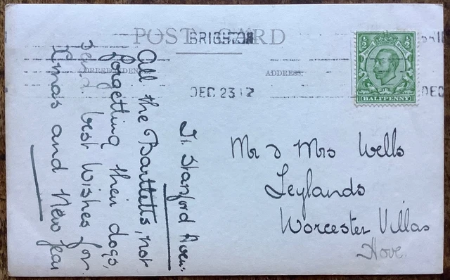 Rppc View Of Dogs Outside No.21 Sandford Avenue Brighton Sussex December 23 1912 2