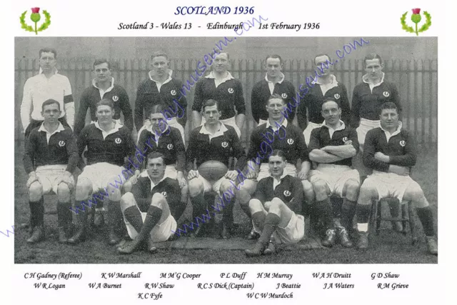 SCOTLAND 1936 (v Wales, 1st February) RUGBY TEAM PHOTOGRAPH