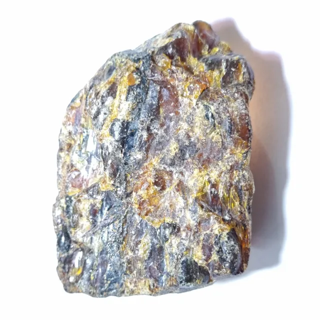 220.88 Carat Natural EGL Certified Baltic Amber Translucent rough Loose Gems