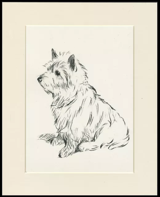 CAIRN TERRIER SEATED DOG OLD 1937 MOUNTED DOG ART PRINT by LUCY DAWSON AKA MAC