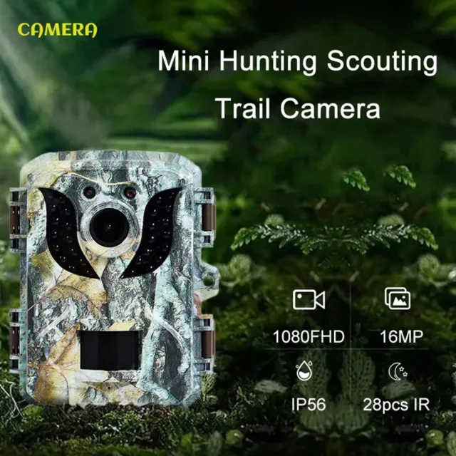 Caméra de piste compacte avec LED IR 28 pièces pour capturer la faune dans n'i