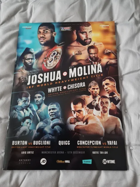 Anthony Joshua V Molina Fight Programme