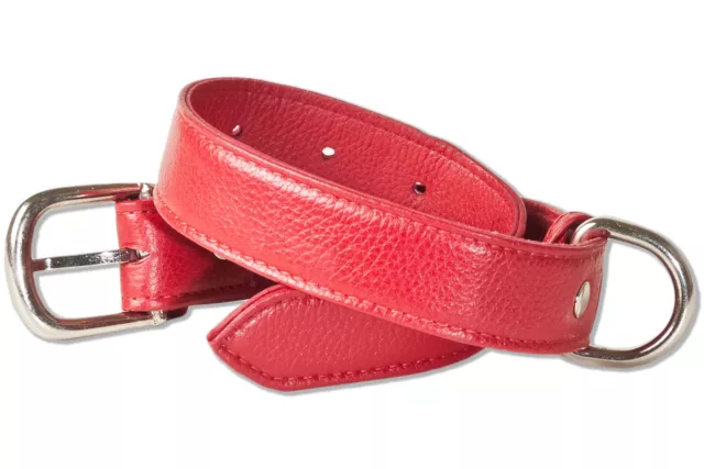 Rimbaldi Collar para Perro De Cuero Con 35-45 CM Tamaño Cuello en Rojo