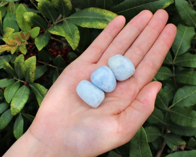 3 Blue Calcite Tumbled Stones Medium (Crystal Healing Reiki Tumble)