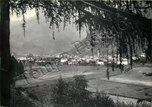 Cartolina di Pellizzano, panorama - Trento, 1965
