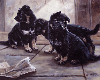 GERMAN SHEPHERD DOG GSD ALSATIAN PUPPIES LIMITED EDITION PRINT  by John Trickett