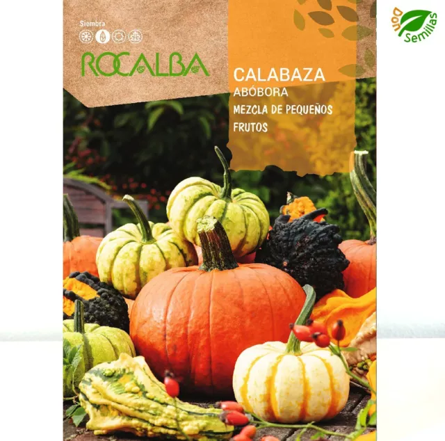 Calabaza Mezcla de Pequeños Frutos ( 3 gr / 15-20 semillas apróx ) seeds