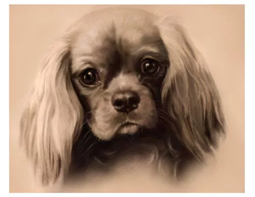 artav Cavalier King Charles Spaniel 17 Dog Art Print