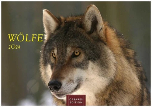 Wölfe 2024 S 24x35cm|Kalender