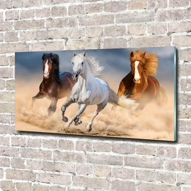 Glas-Bild Wandbilder Druck auf Glas 140x70 Deko Tiere Pferde in der Wüste