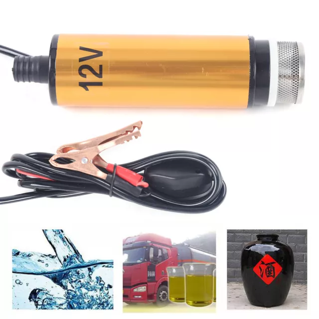 Portable Electric Submersible Diesel Fuel Pump Mini Refueling Sub Tool W/ Filter