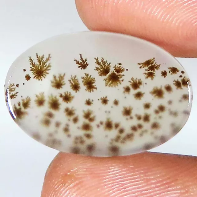 11.55 Cts AA Natural SCENIC DENDRITIC AGATE Oval Shape Gemstone 14x22x3 mm kt_68