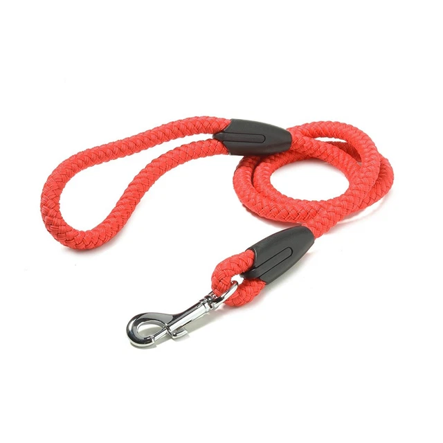 Sharples Walk ´R´ Cise Reflecta Hundehalsband – Reflektierend, Sicher & Robust Für Alle Hunderassen