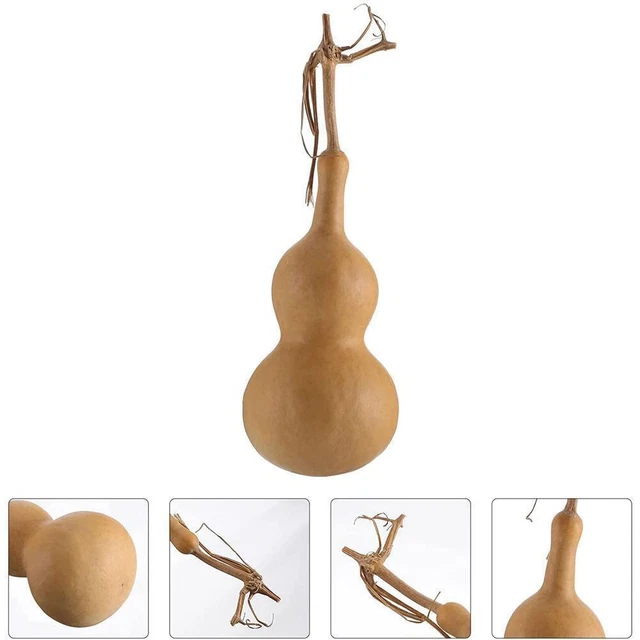 (9-12 cm) Botella de vino seco real natural potable decoración calabaza adornos tipo Q D5Z2